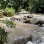 whatsapp image 2025 11 06 at 09.57.19 (1)