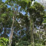 whatsapp image 2025 11 06 at 09.57.19