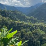 whatsapp image 2025 11 06 at 09.57.20 (1)