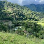 whatsapp image 2025 11 06 at 09.57.20