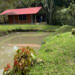 whatsapp image 2025 11 06 at 09.57.21 (1)